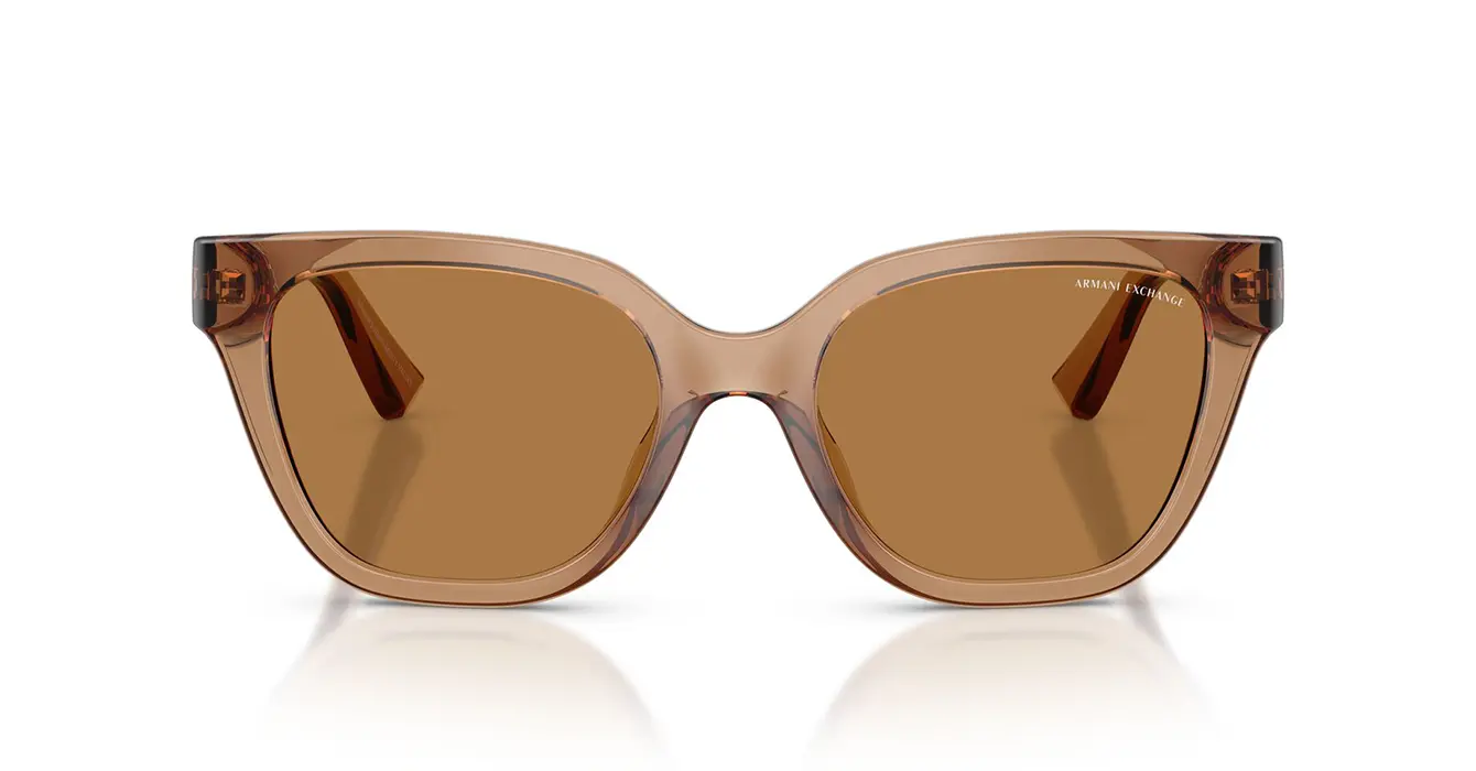 Armani Exchange AX4164SU 8396/73 s53