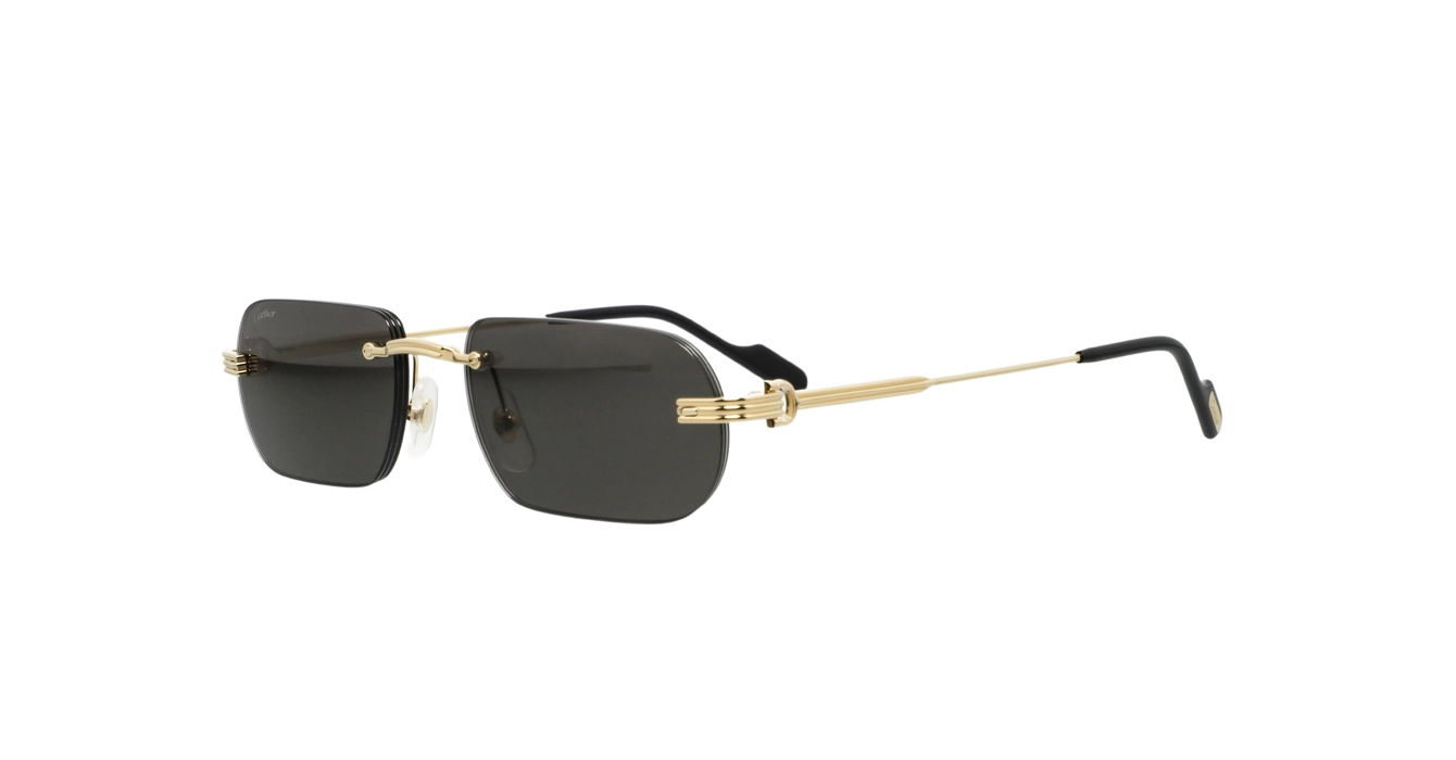 Cartier CT0577S 001 s55