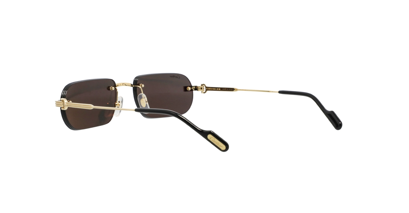 Cartier CT0577S 001 s55