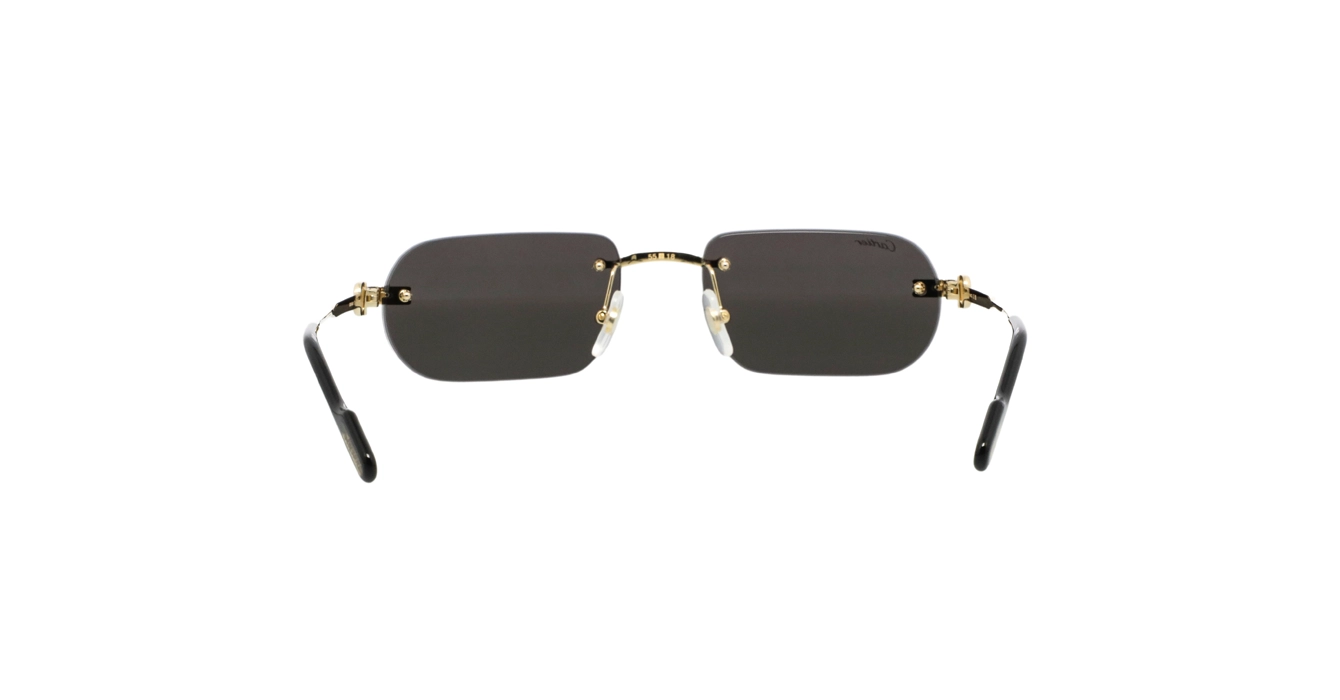 Cartier CT0577S 001 s55
