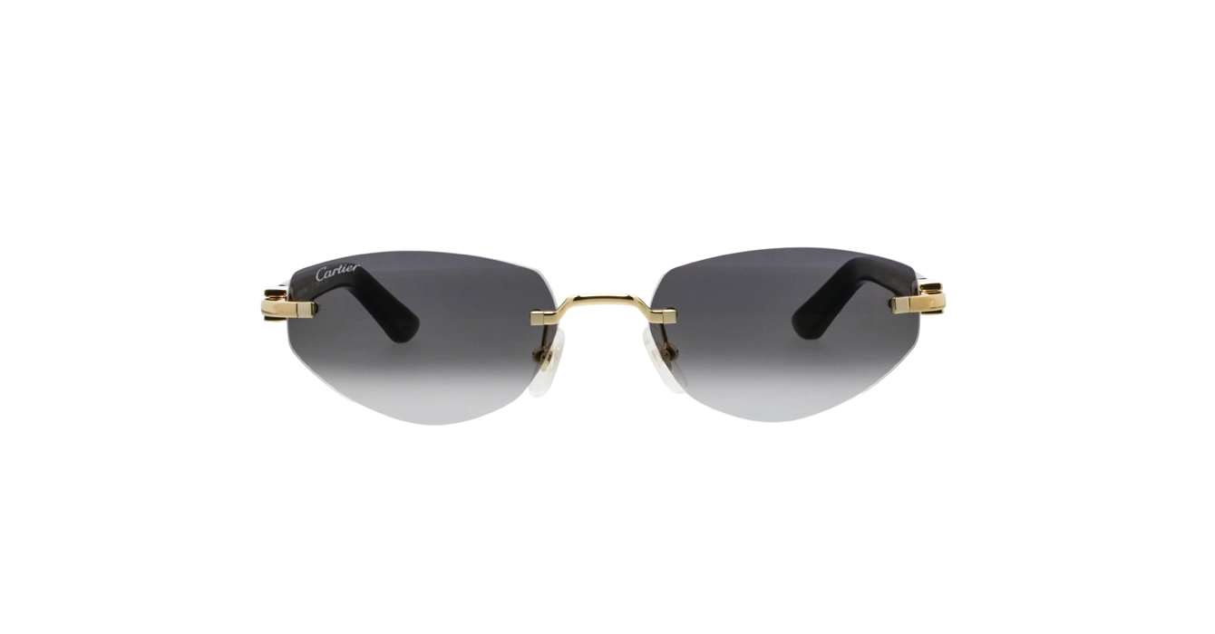Cartier CT0580S 001 s56