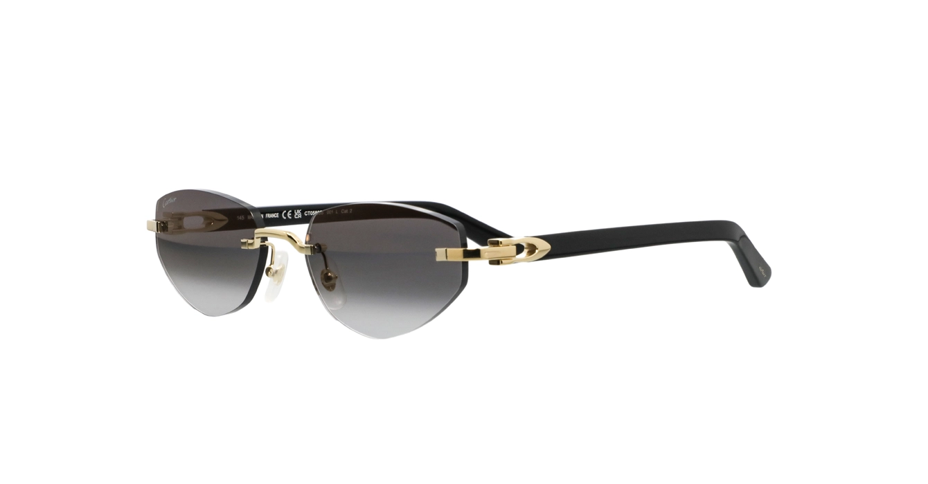 Cartier CT0580S 001 s56
