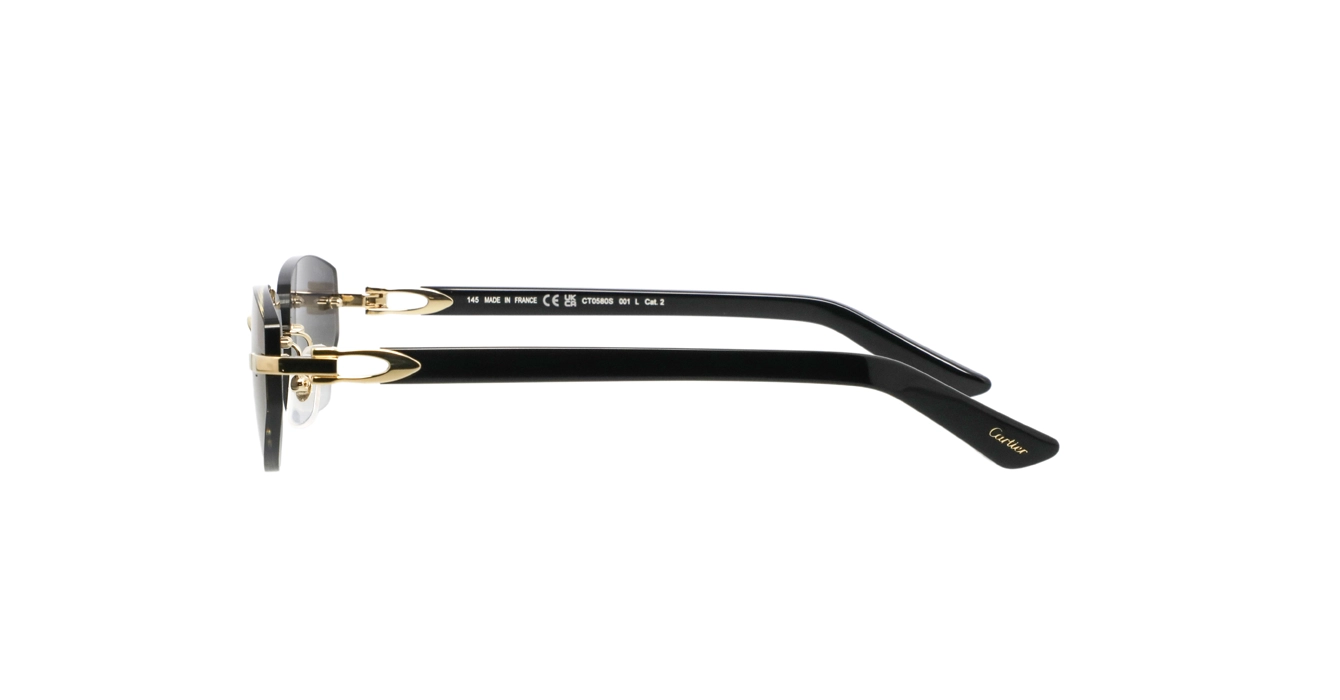 Cartier CT0580S 001 s56