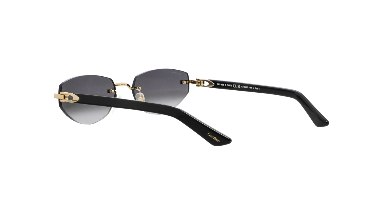 Cartier CT0580S 001 s56