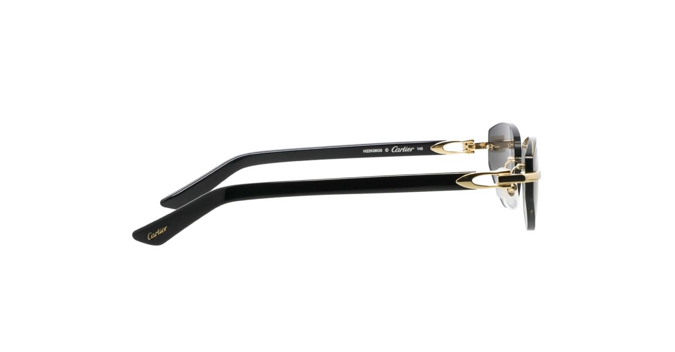 Cartier CT0580S 001 s56