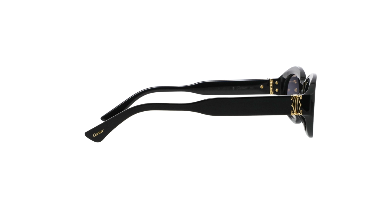 Cartier CT0588S 001 s53