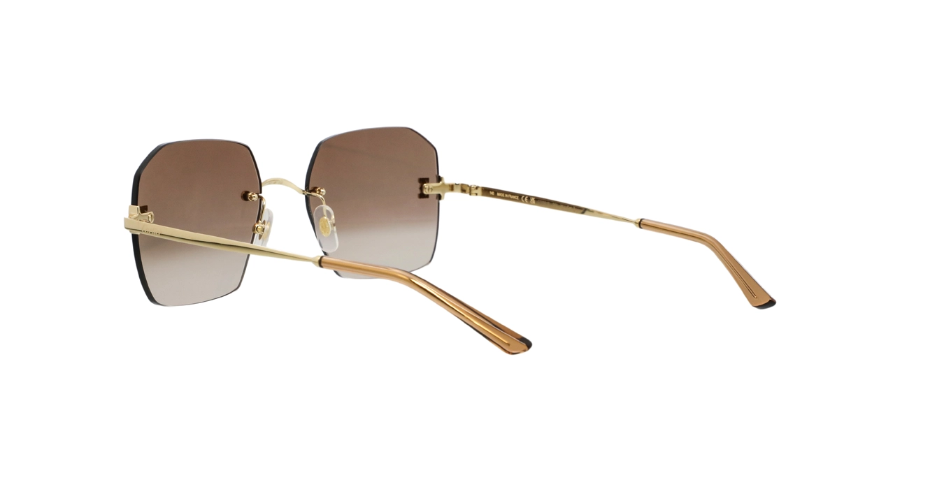 Cartier CT0591S 002 s55
