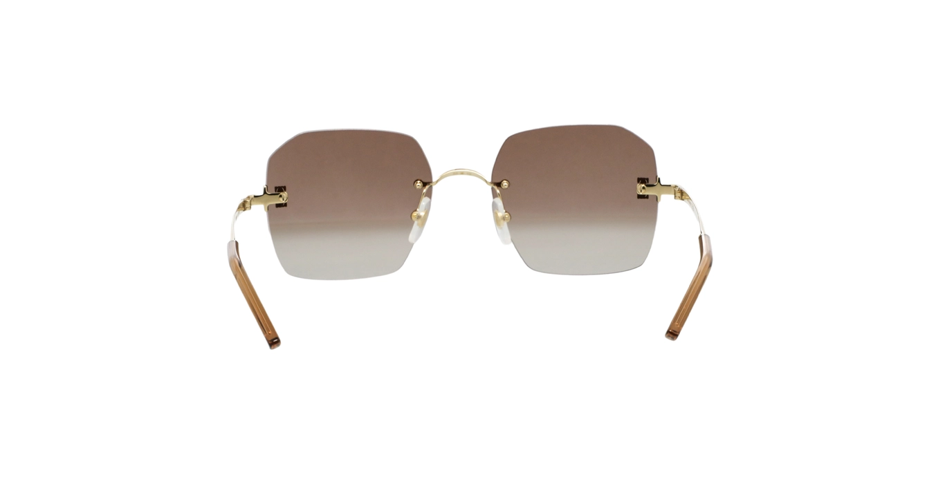 Cartier CT0591S 002 s55