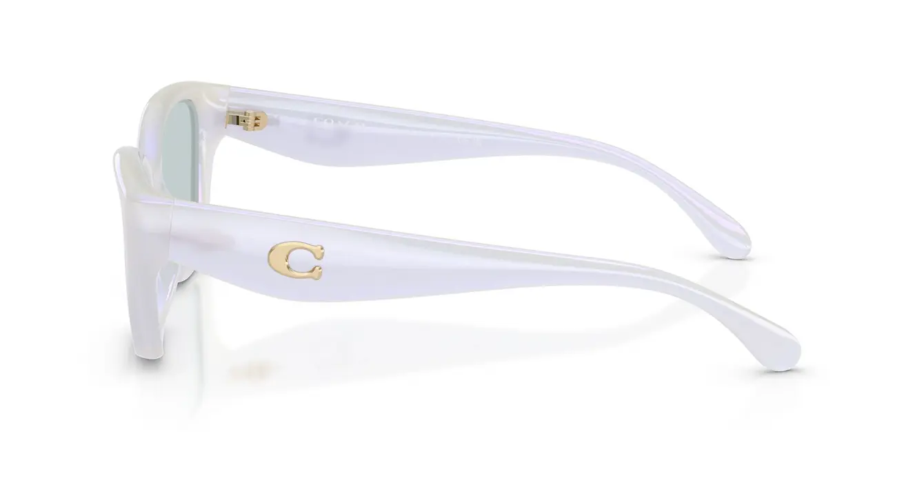 Coach HC8434U 5903/RG s53