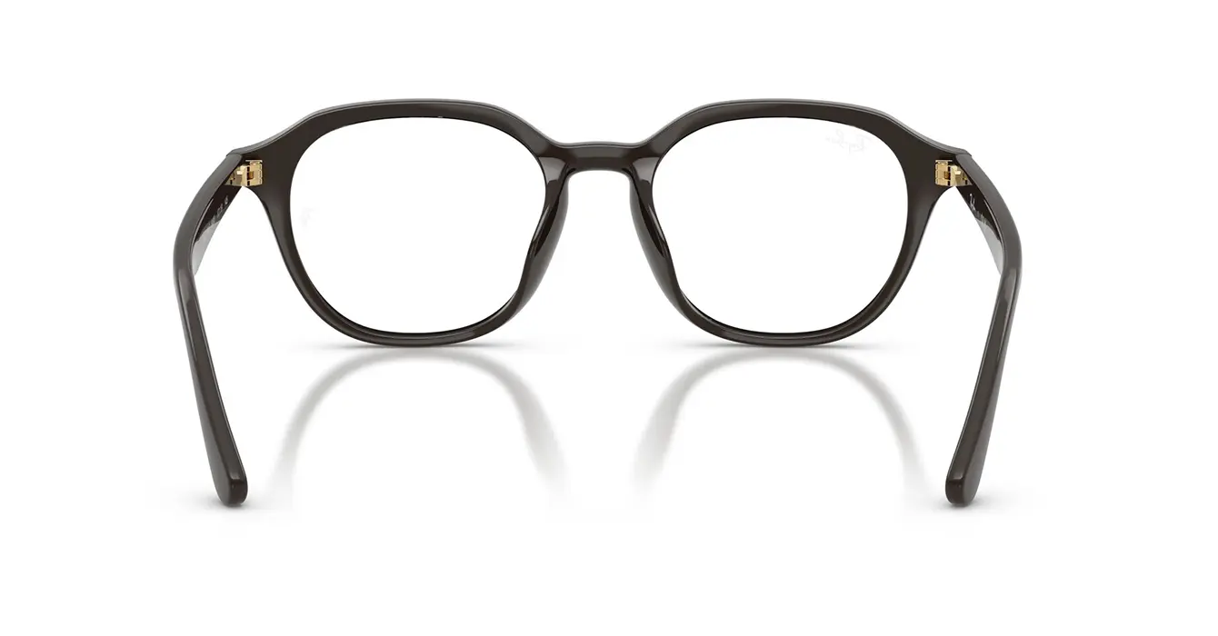 Ray-Ban RB7259D 8493 s52