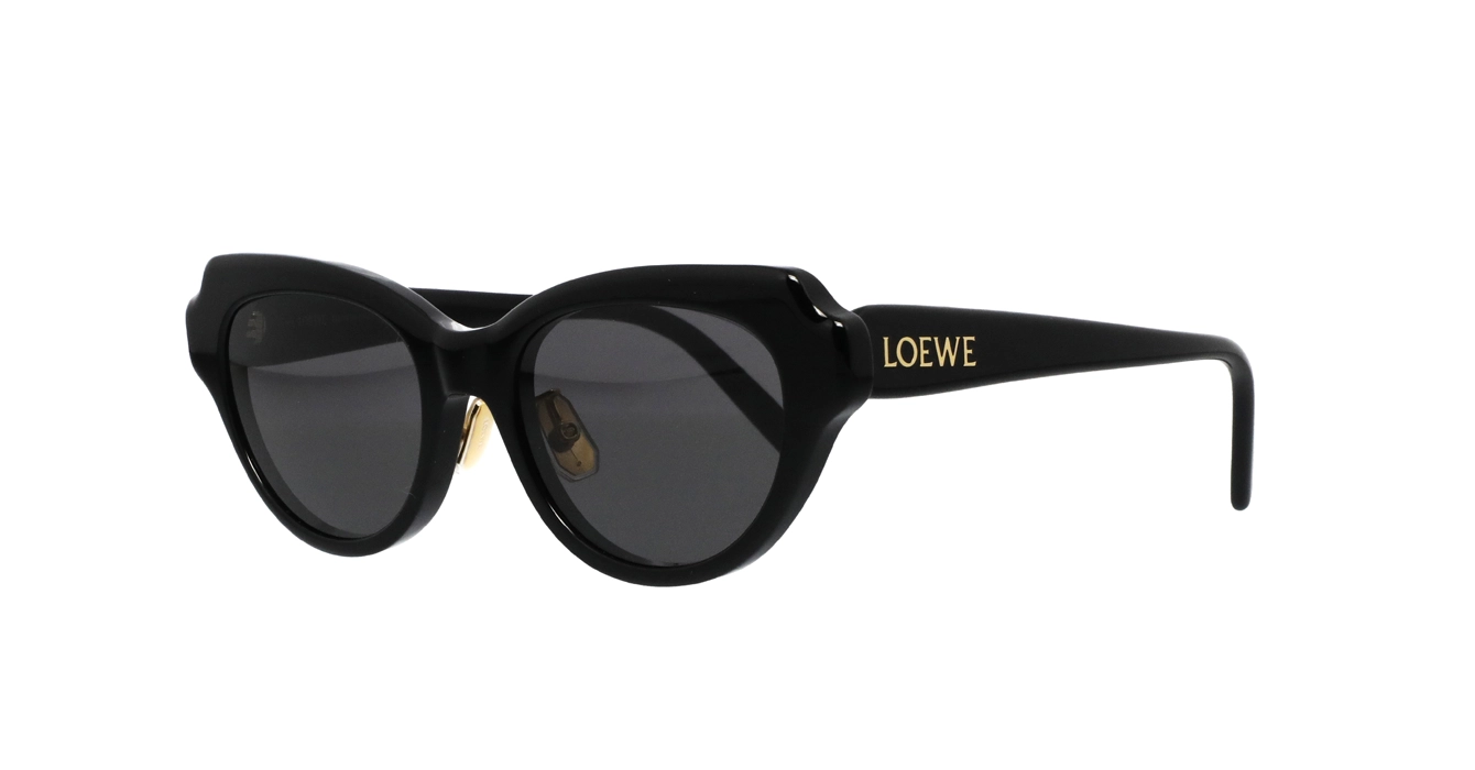 Loewe LW40178F 01A s53