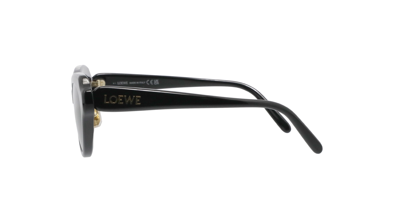 Loewe LW40178F 01A s53