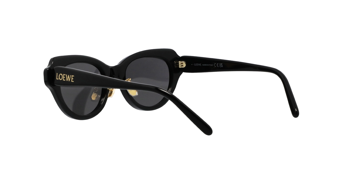 Loewe LW40178F 01A s53