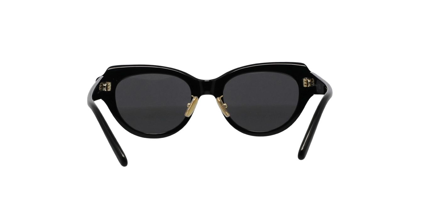 Loewe LW40178F 01A s53