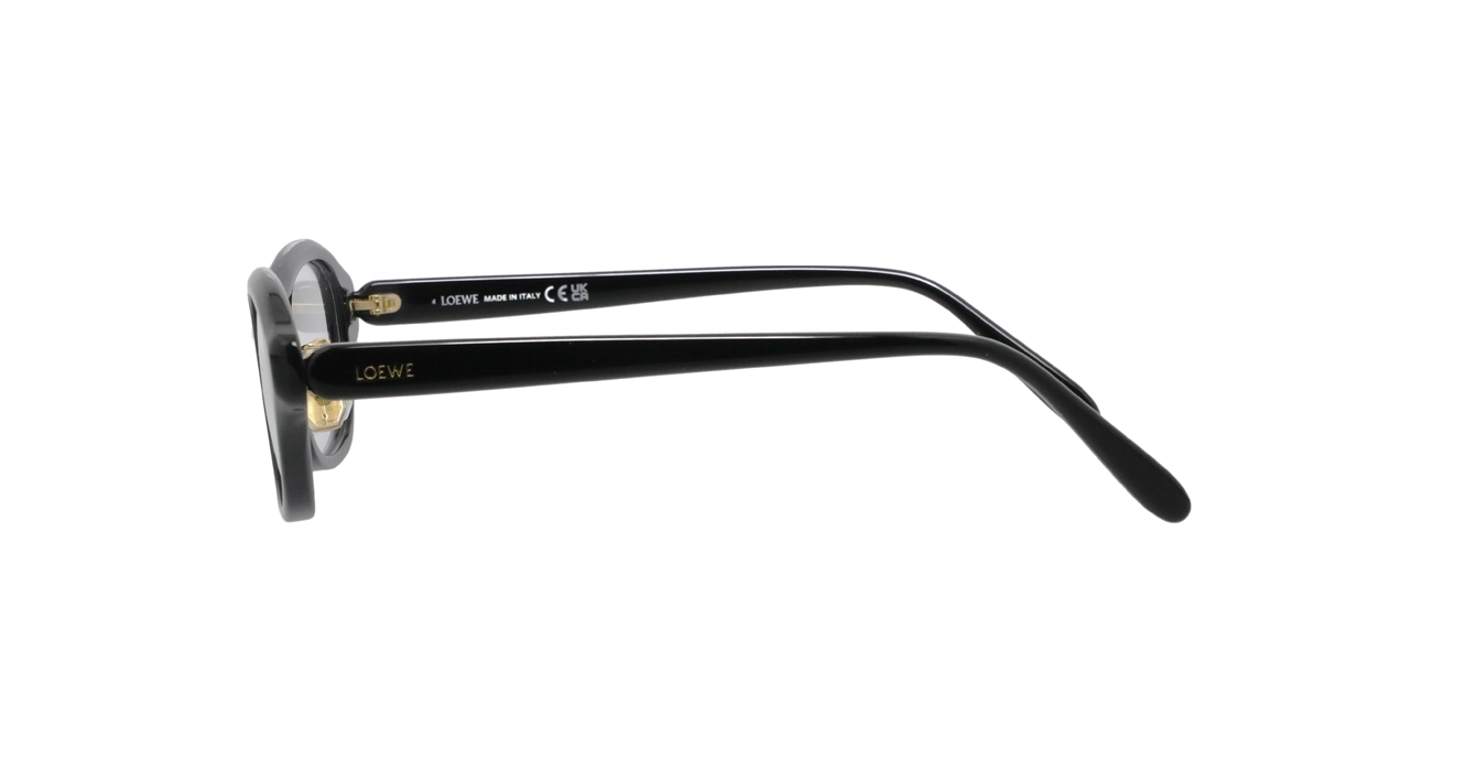 Loewe LW50109F 001 s51
