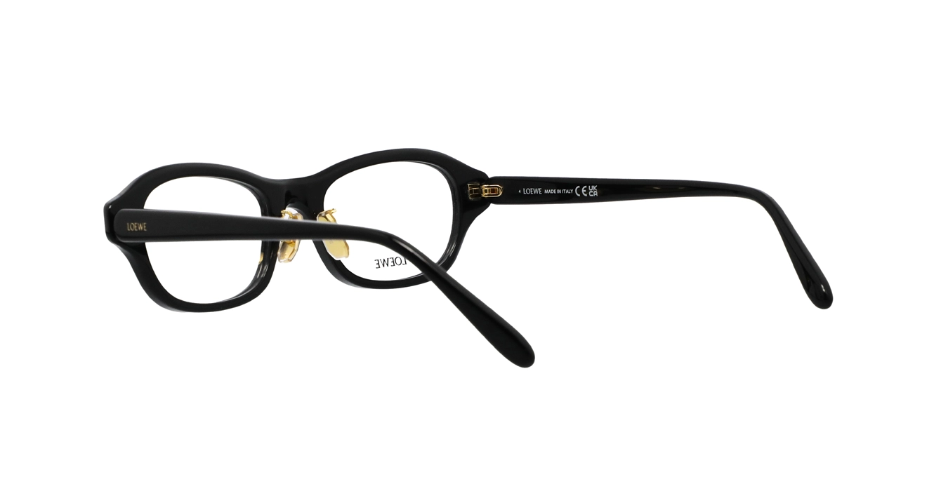 Loewe LW50109F 001 s51