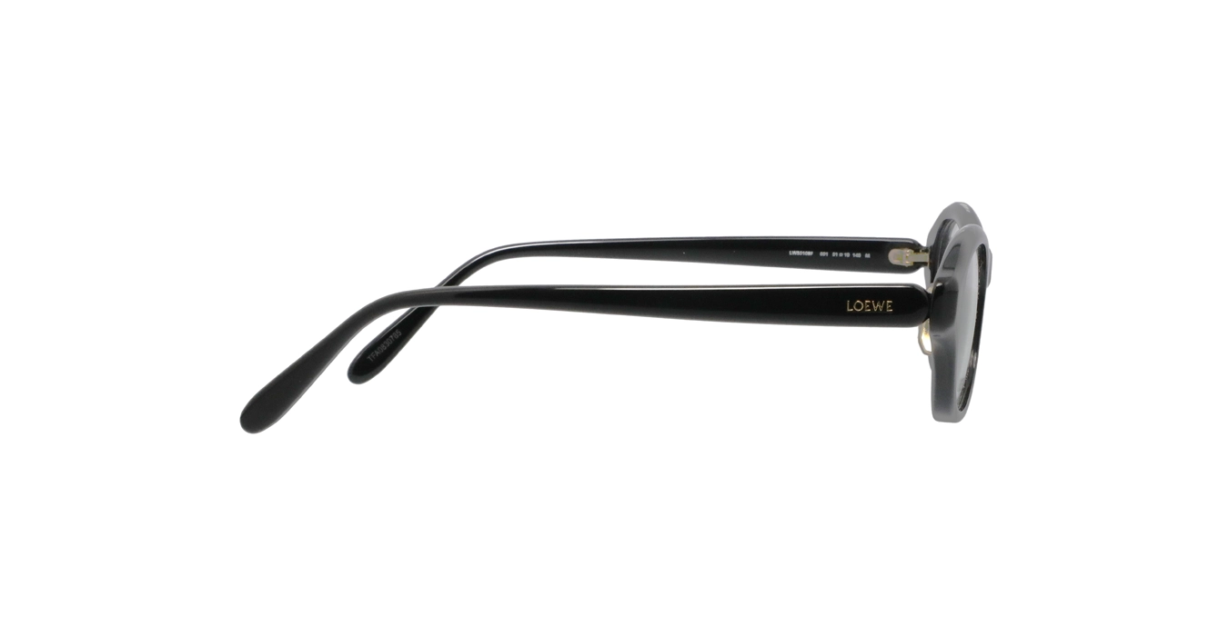 Loewe LW50109F 001 s51