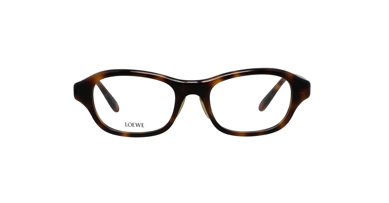 Loewe LW50109F 052 s51