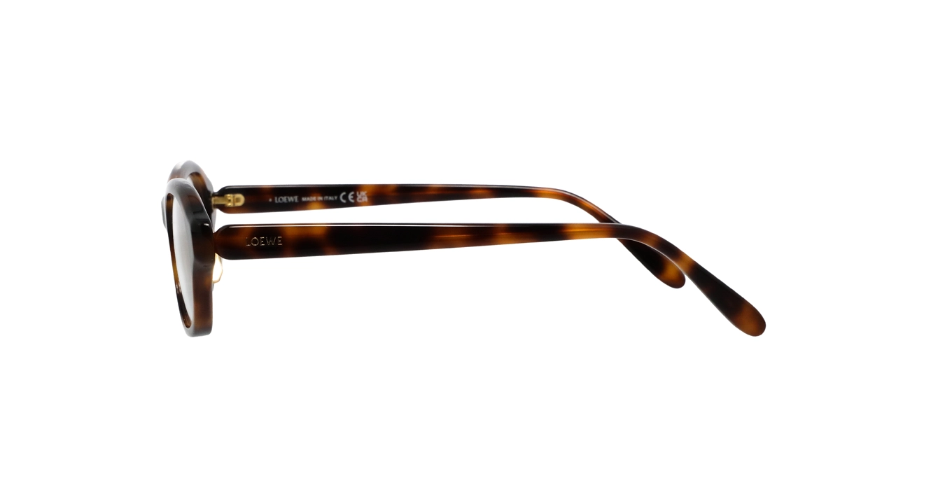 Loewe LW50109F 052 s51