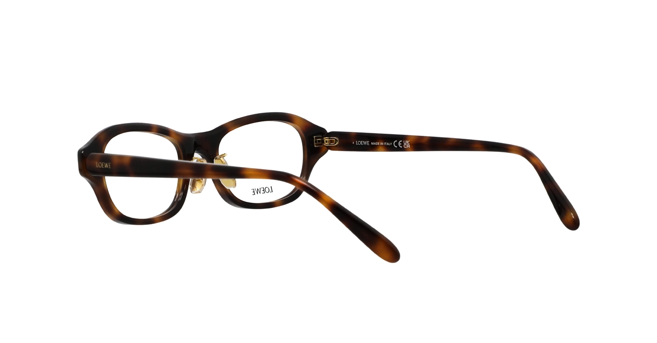 Loewe LW50109F 052 s51