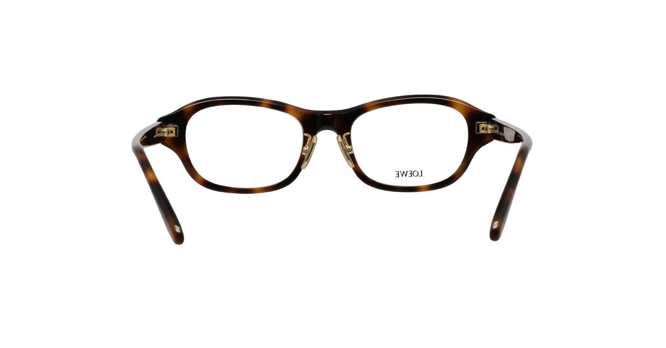 Loewe LW50109F 052 s51