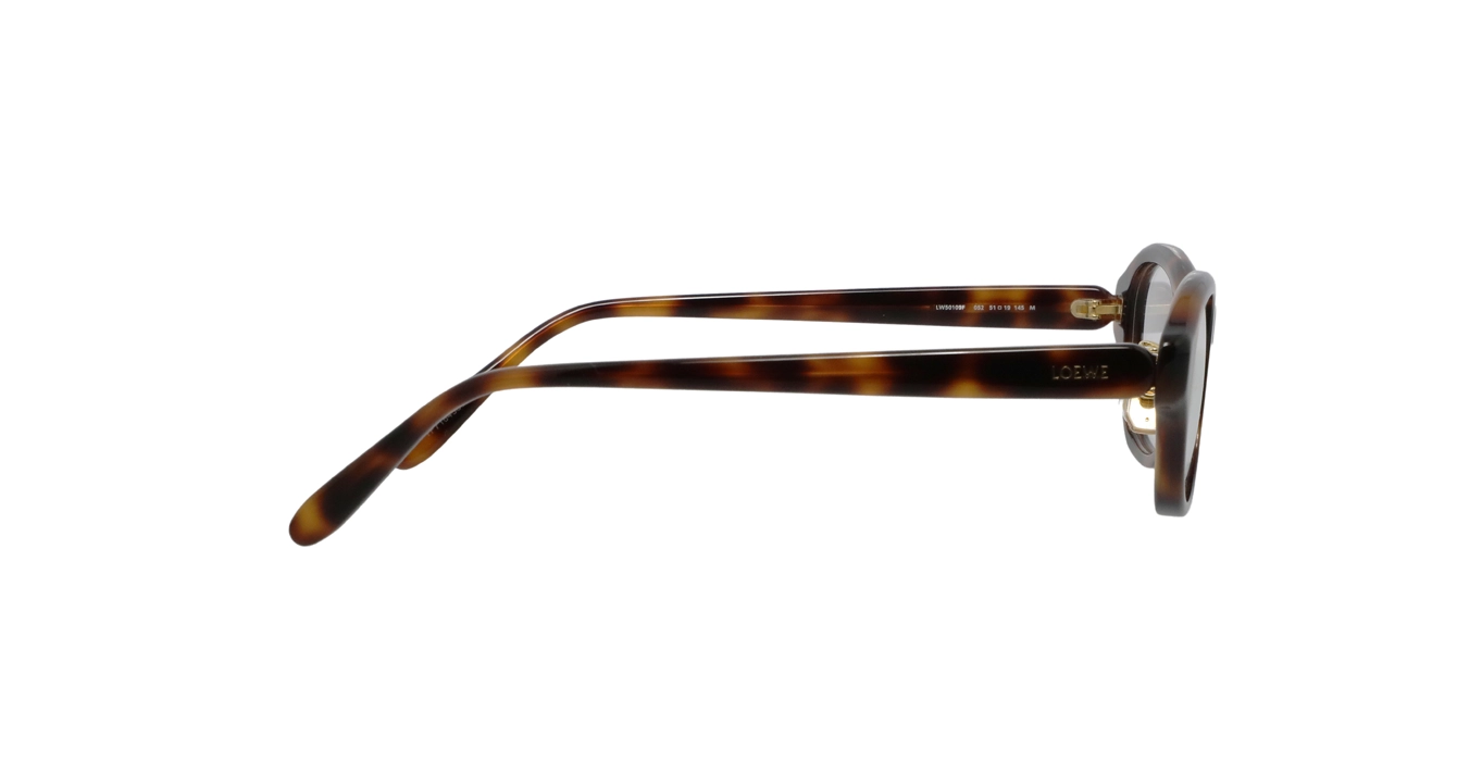Loewe LW50109F 052 s51
