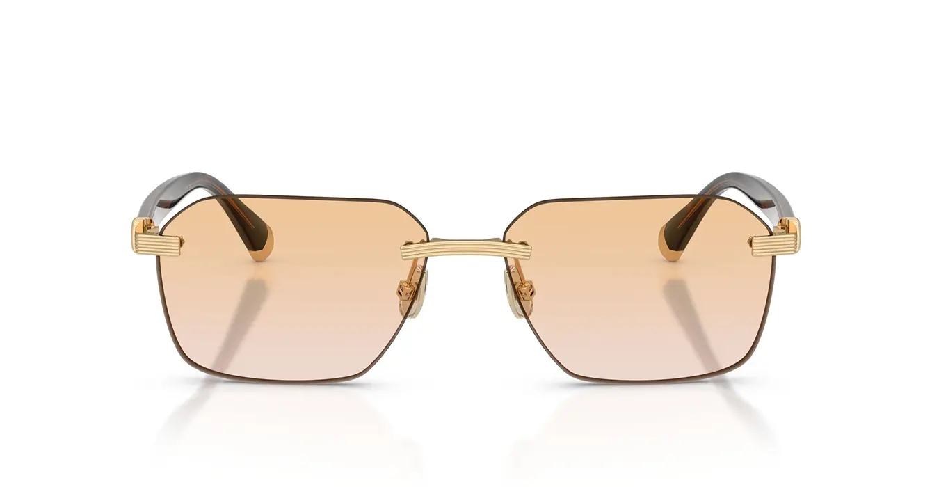 Brunello Cucinelli BC1011T 5016 s57 + BlueLight Lenses