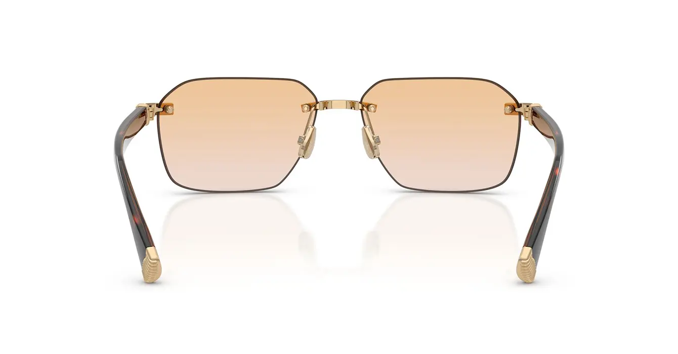 Brunello Cucinelli BC1011T 5016 s57 + BlueLight Lenses