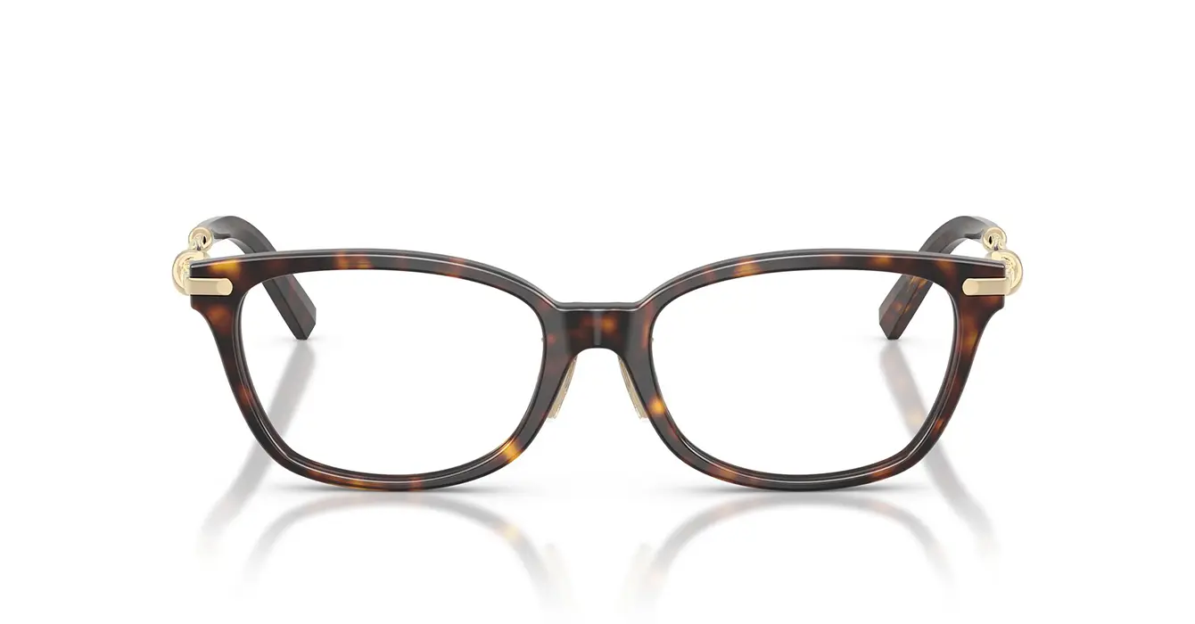 Tiffany&co TF2281-F 8015 s51