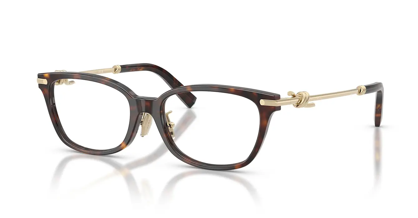 Tiffany&co TF2281-F 8015 s51