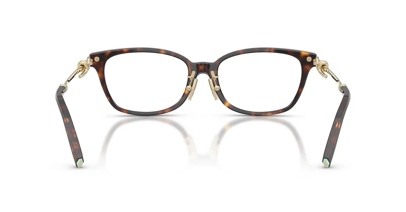 Tiffany&co TF2281-F 8015 s51