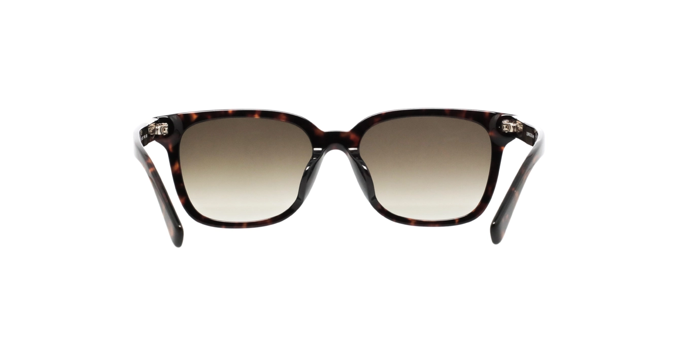 Longchamp LO810SLB 242 s54