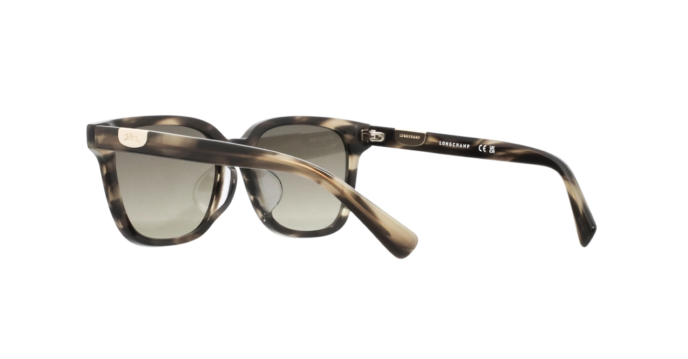 Longchamp LO810SLB 308 s54