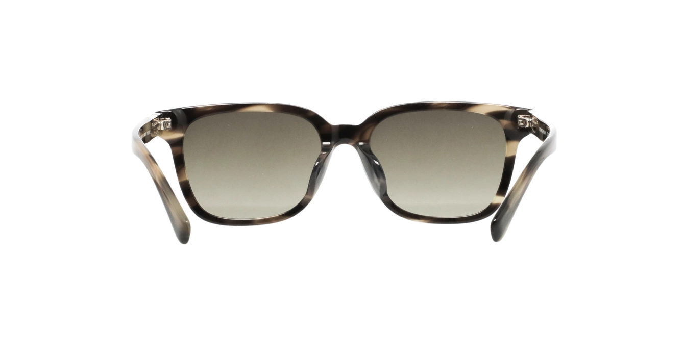 Longchamp LO810SLB 308 s54