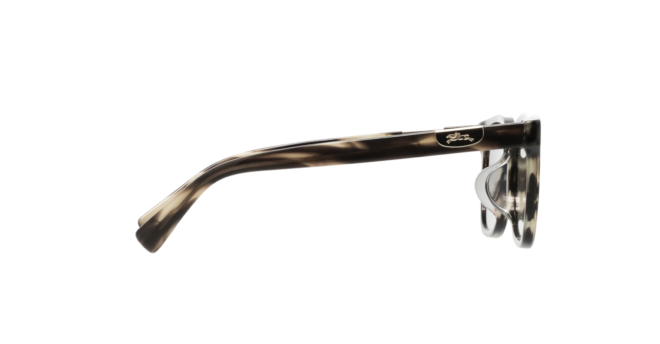 Longchamp LO810SLB 308 s54