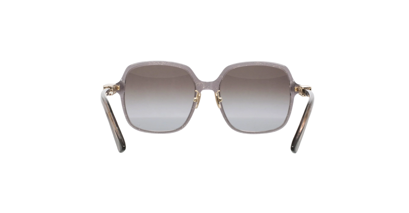 Dior Treasure S1F CD40232F 84F2 s56