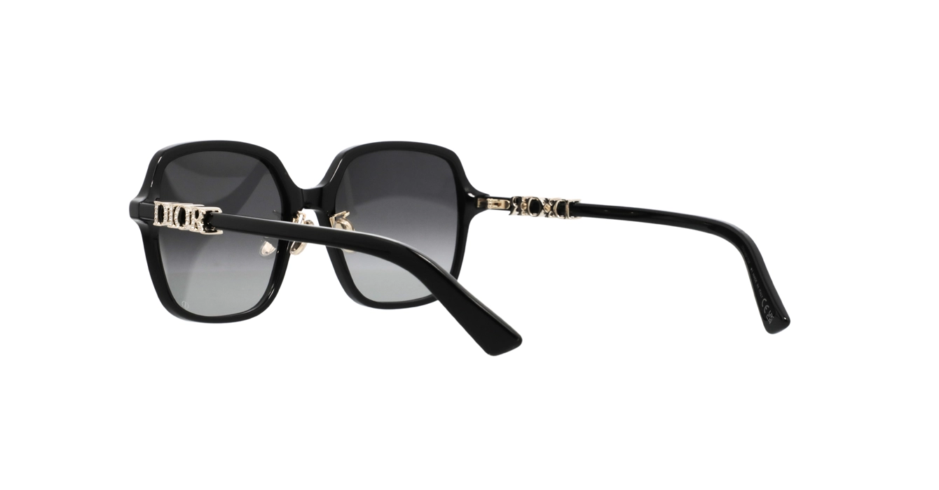 Dior Treasure S1F CD40232F 10A1 s56