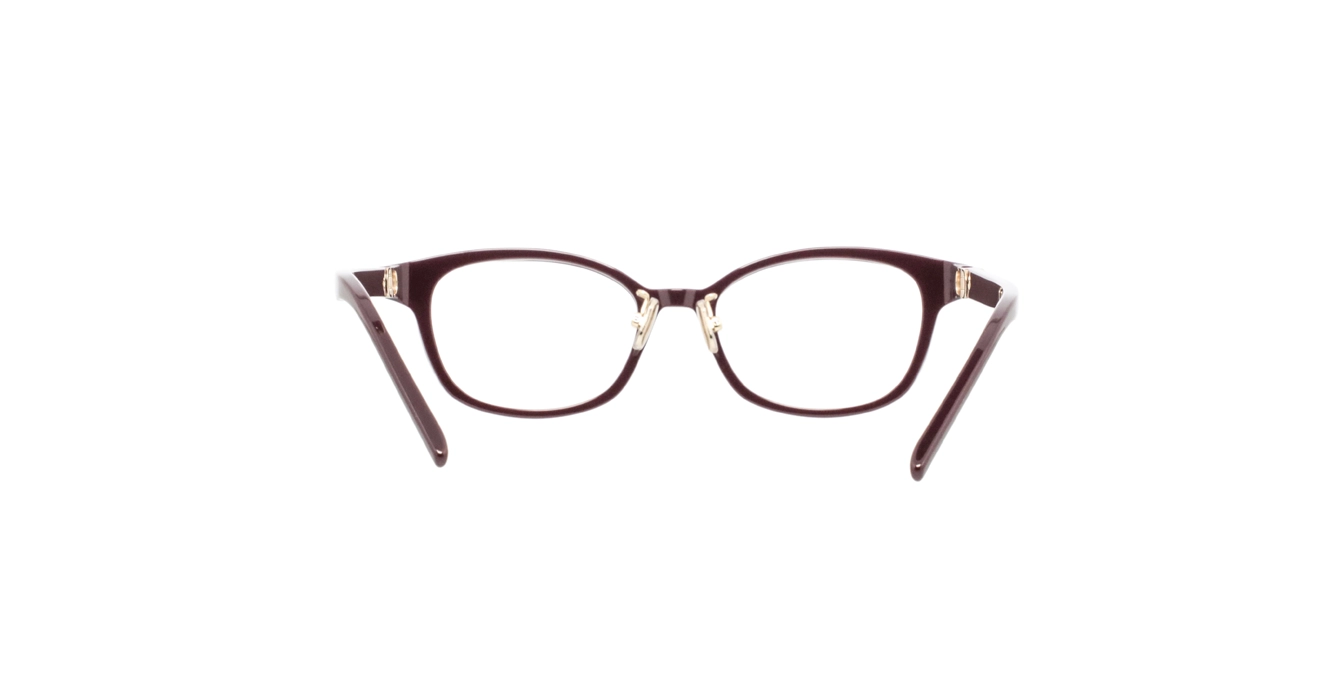 Dior Petit CDO B1F CD50141F 3500 s50