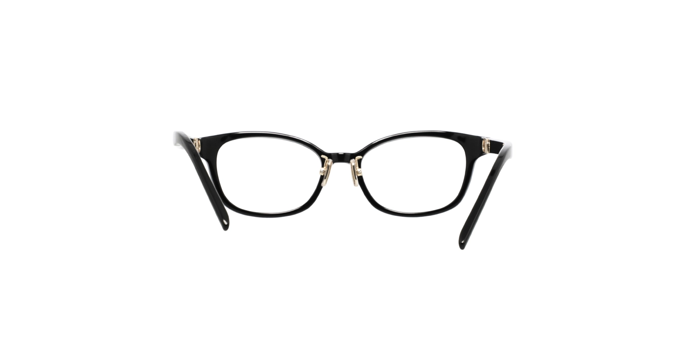 Dior Petit CDO B1F CD50141F 1000 s50