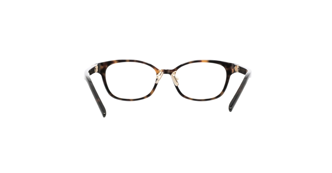 Dior Petit CDO B1F CD50141F 2000 s50