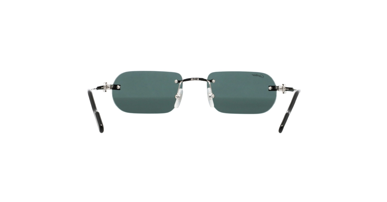 Cartier CT0577S 002 s55