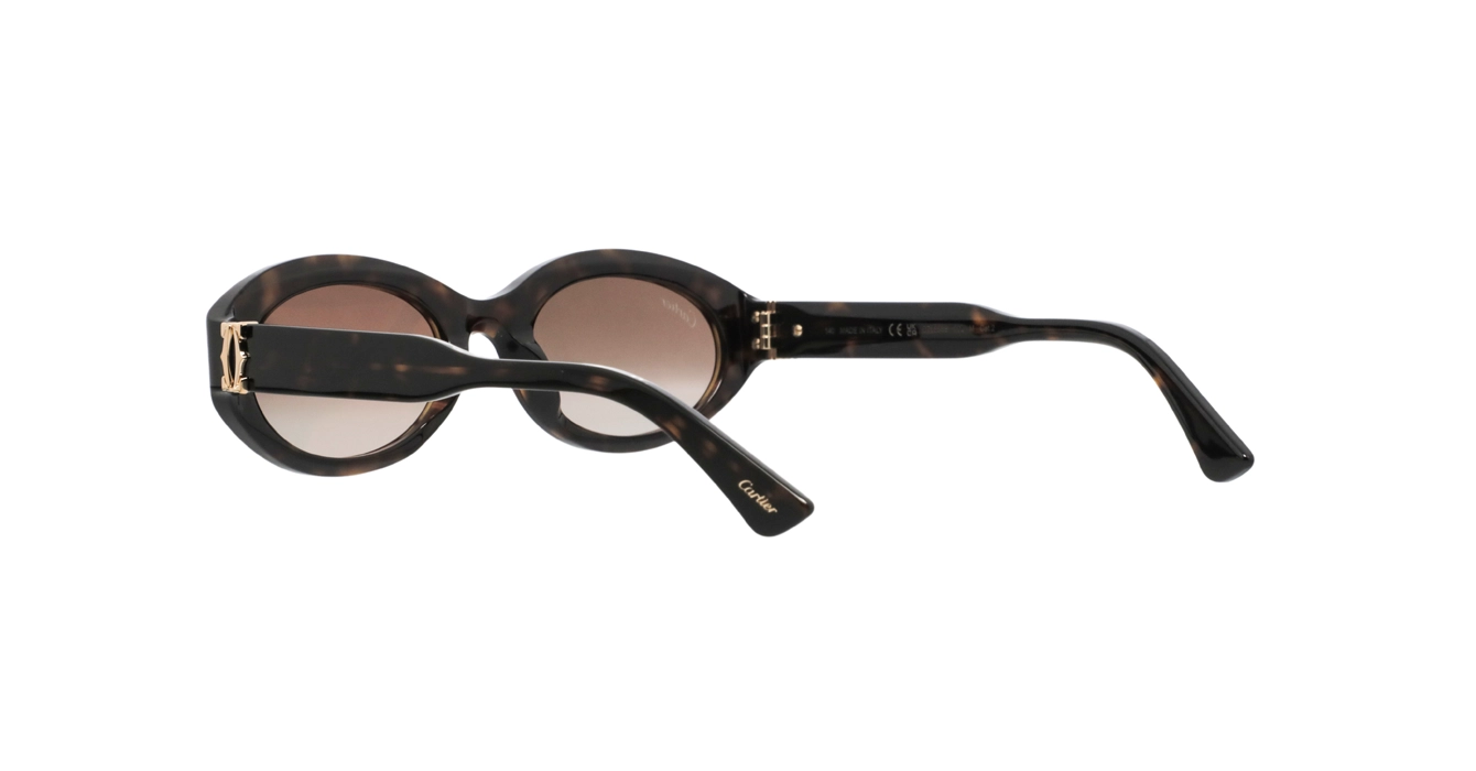 Cartier CT0588S 002 s53