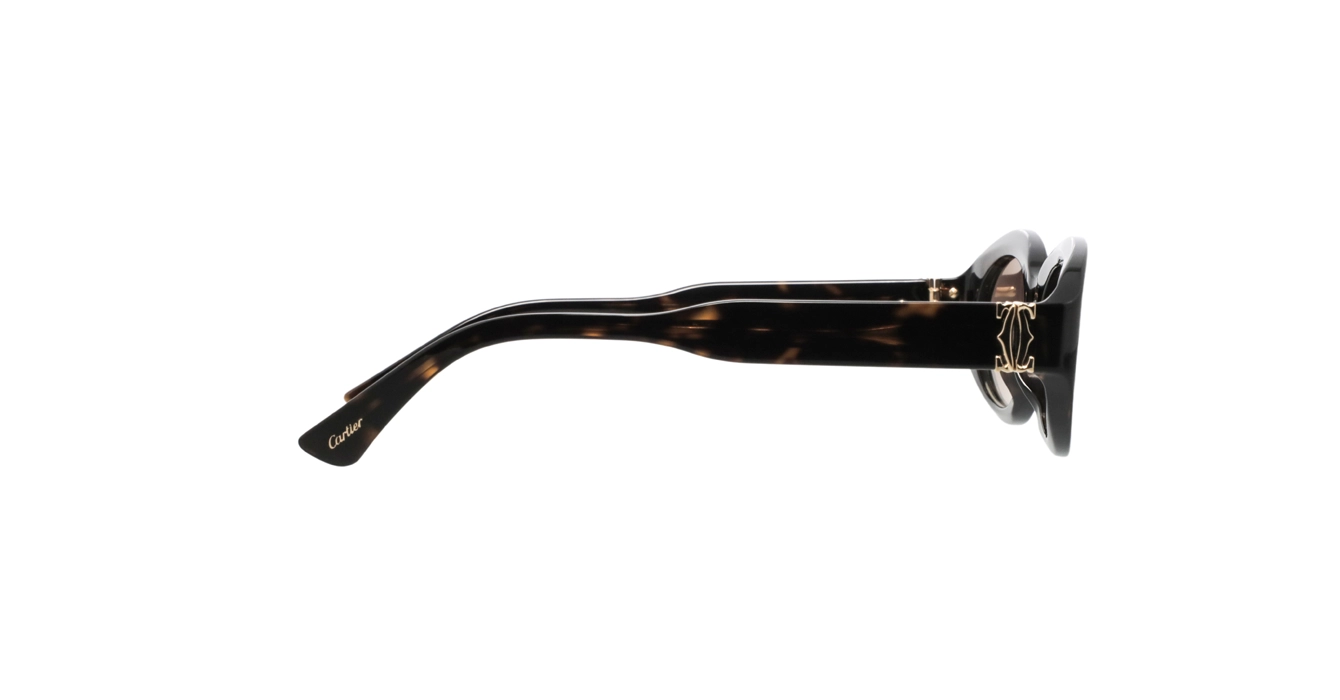 Cartier CT0588S 002 s53