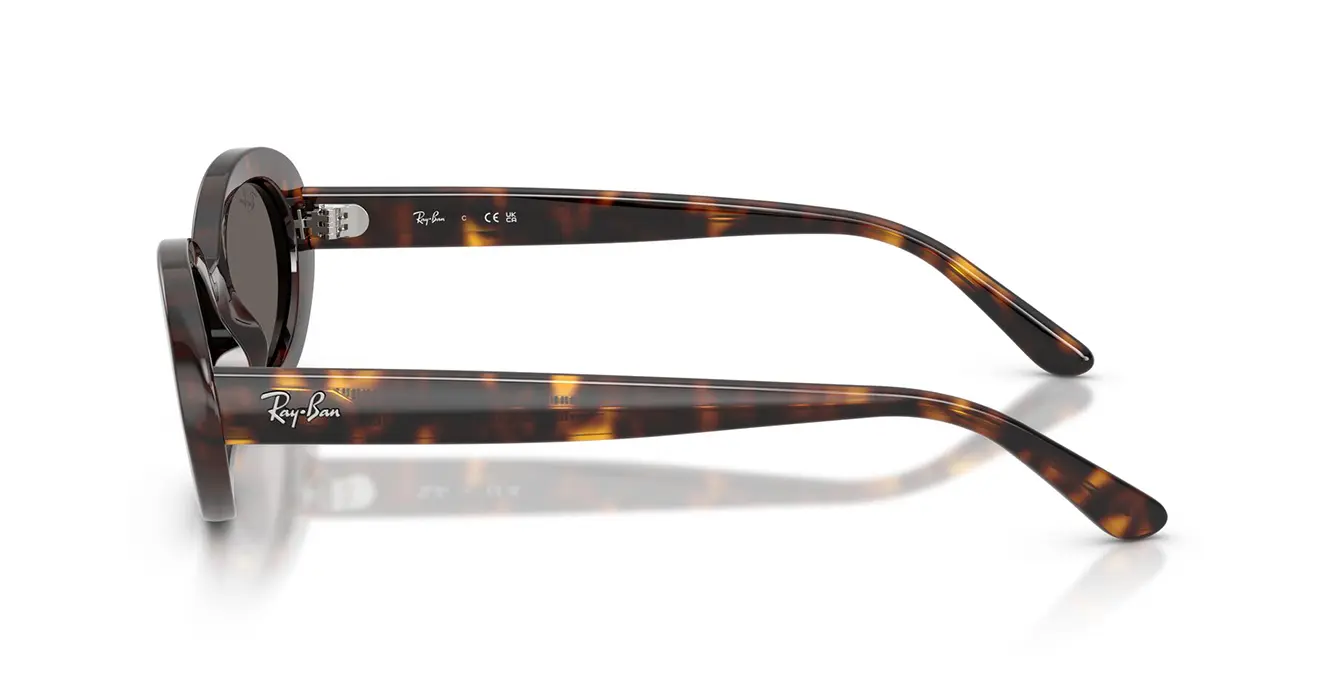 Ray-Ban RB2223F 902/B1 s54