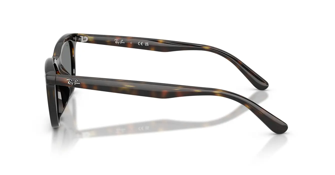 Ray-Ban RB4474D 710/87 s54