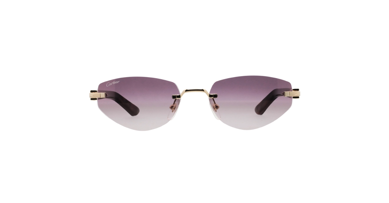 Cartier CT0580S 002 s56