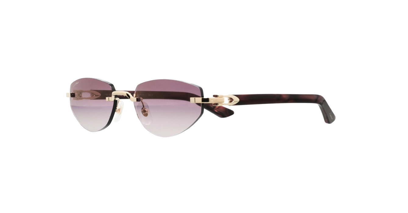 Cartier CT0580S 002 s56