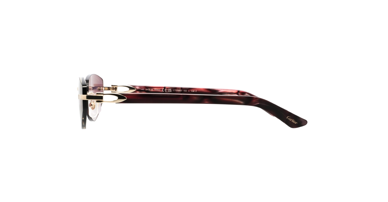 Cartier CT0580S 002 s56