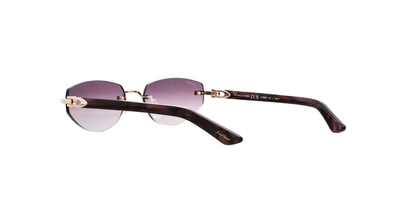 Cartier CT0580S 002 s56