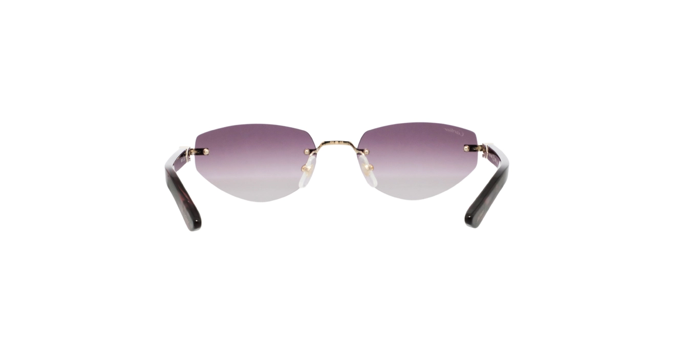 Cartier CT0580S 002 s56